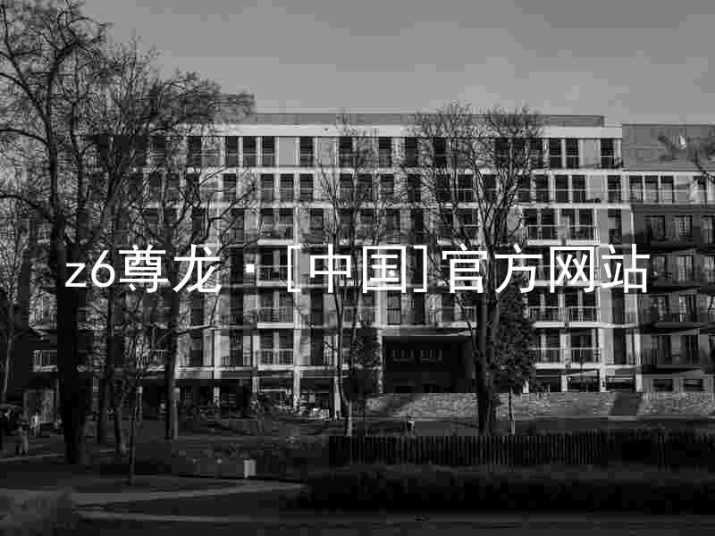 z6尊龙·[中国]官方网站